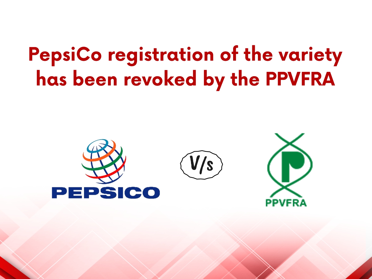 PepsiCo registration of the variety has been revoked by the PPVFRA