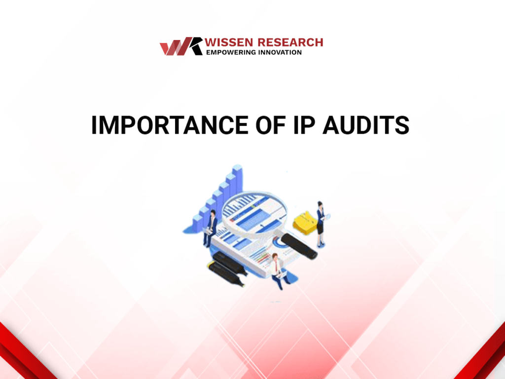 importance of IP audit