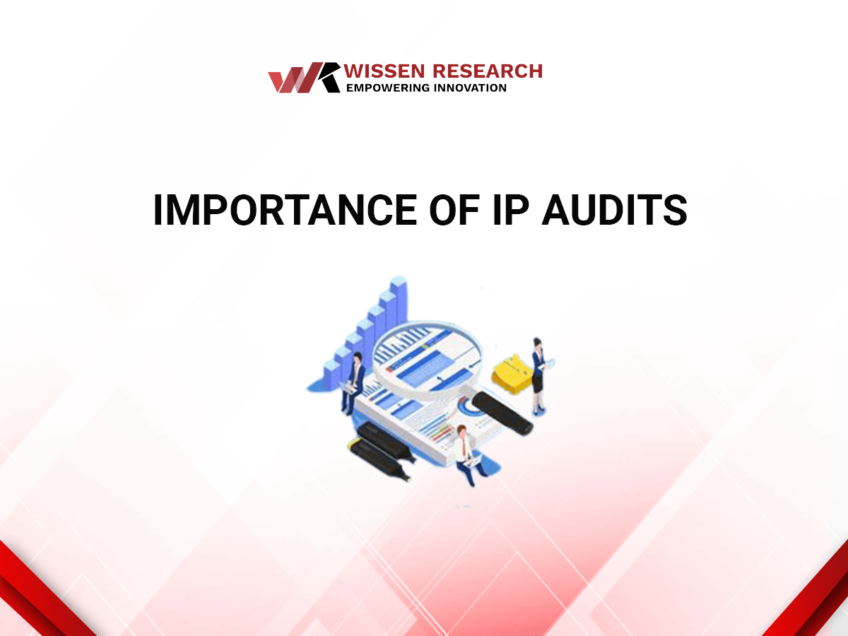 Importance of IP Audits