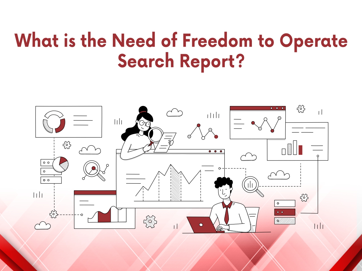 What Is The Need of Freedom to Operate Search Report