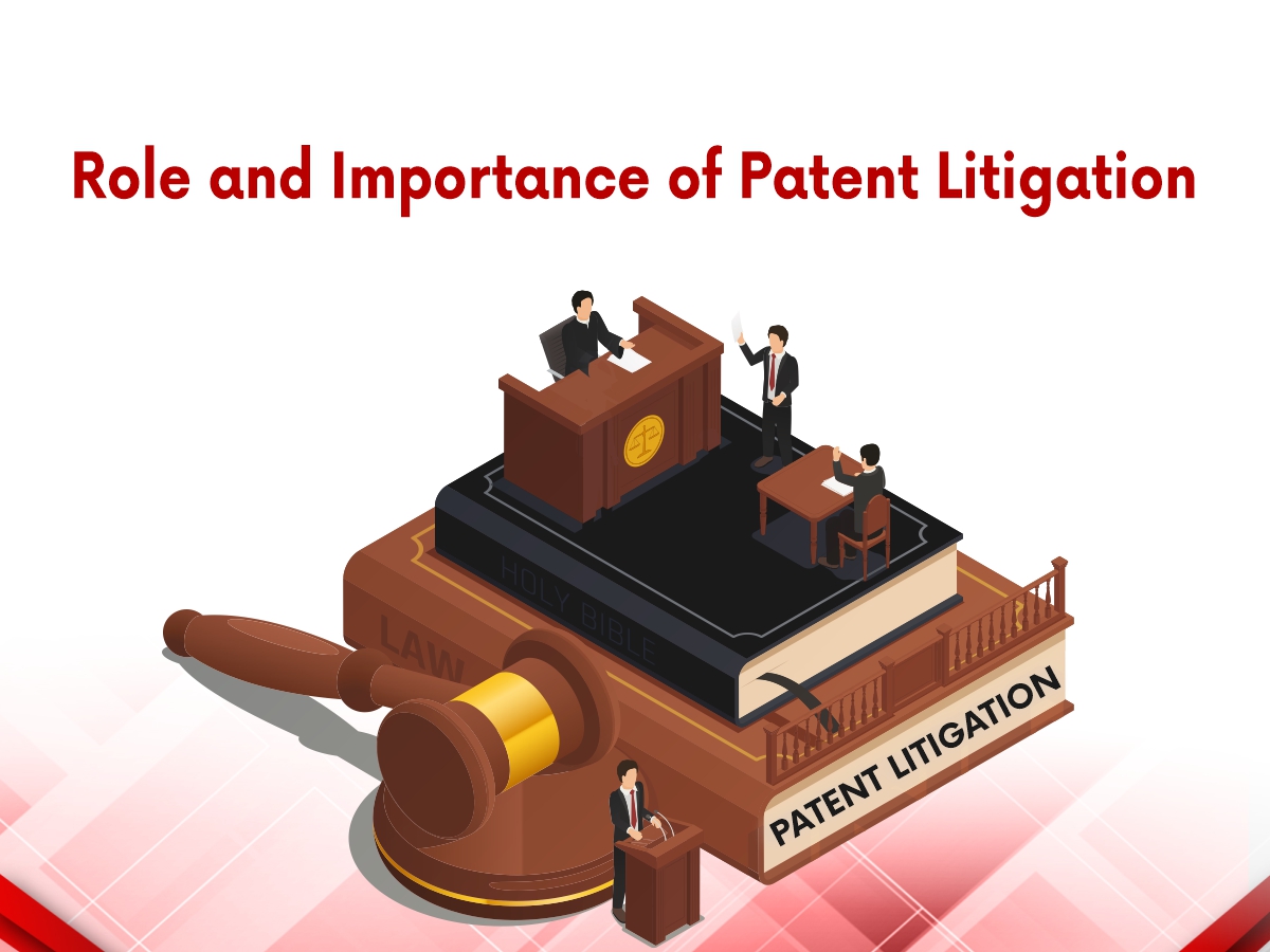 Role and Importance of Patent Litigation