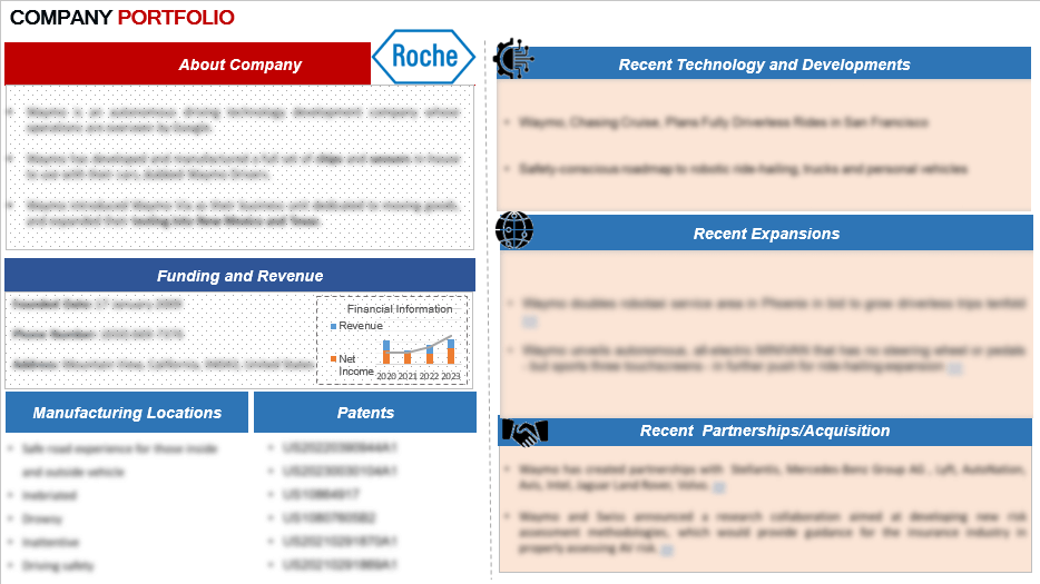 Figure 3 Company Specific Information