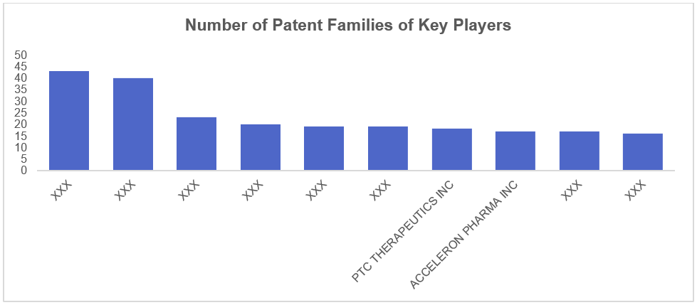Figure 6: Patent stockpile of Key Players in DMD domain