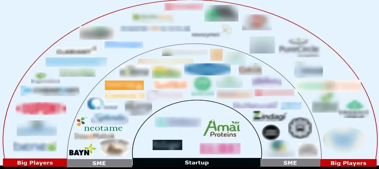 Company-Segmentation