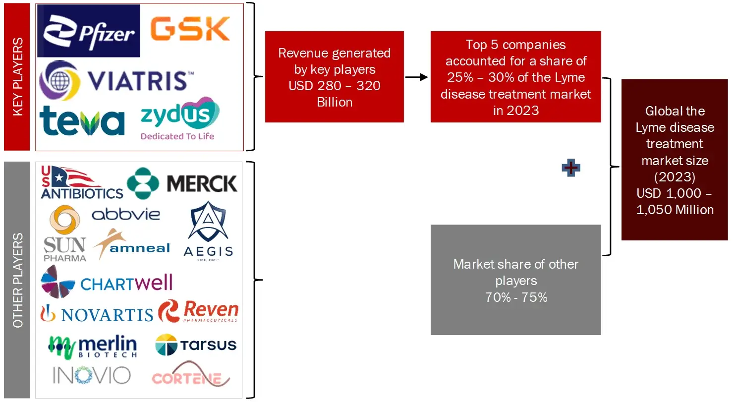 FIGURE 2 SUPPLY SIDE MARKET SIZE ESTIMATION COMPANY SHARE ANALYSIS Lyme Disease