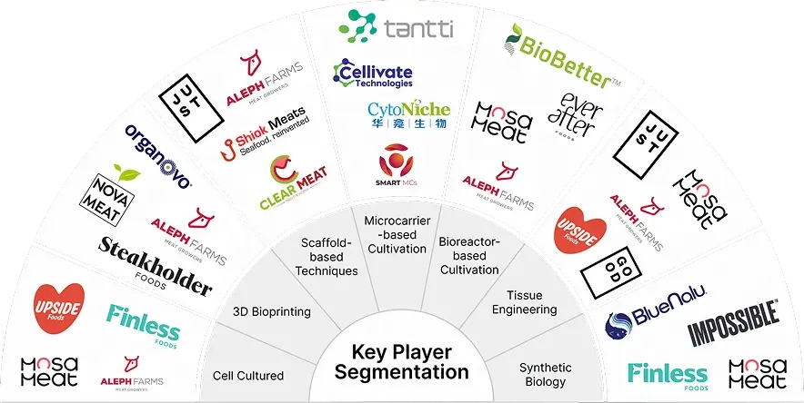 Key Player Segmentation in Cultivated Meat