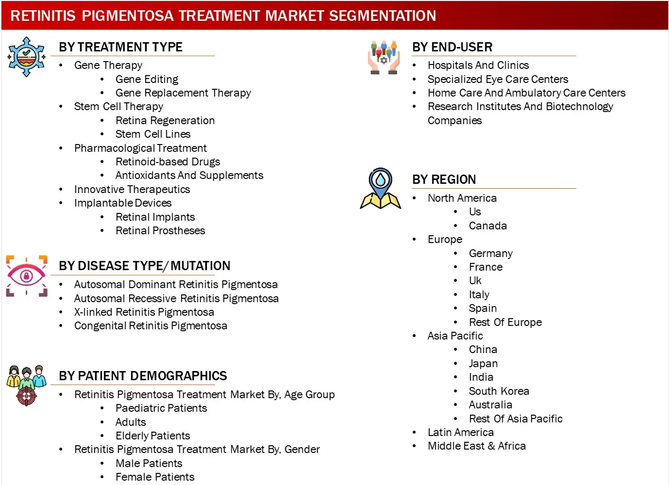 RETINITIS PIGMENTOSA MARKET SEGMENTS