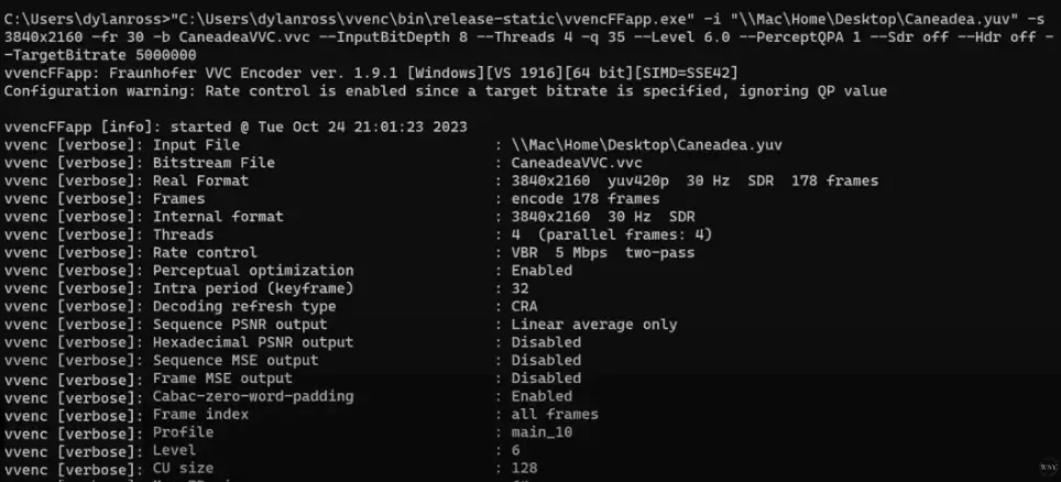 Video Codec Extraction