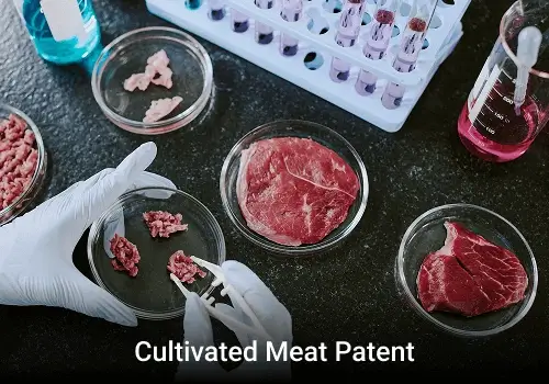 Who’s Winning the Cultivated Meat Patent War?