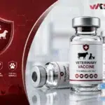 Veterinary Vaccines Are Entering a New Era. And It’s About More Than Disease Prevention