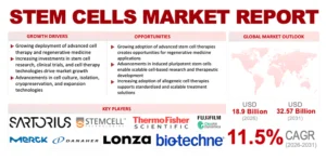 Stem Cells Market